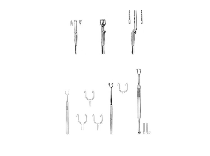 Rhinology